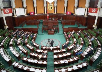 قانون المالية 2026: المصادقة على فصل يلزم البنك الفلاحي بتخصيص 30℅ من حجم تمويلاته لفائدة الانتاج الفلاحي