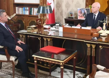 قيس سعيّد “ليس من الطبيعي أن يتدخّل رئيس الجمهوريّة ليطلب ربط بيت بشبكة التطهير أو بالإنارة العموميةّ في عدد من الأحياء أو إصلاح جزء من طريق”