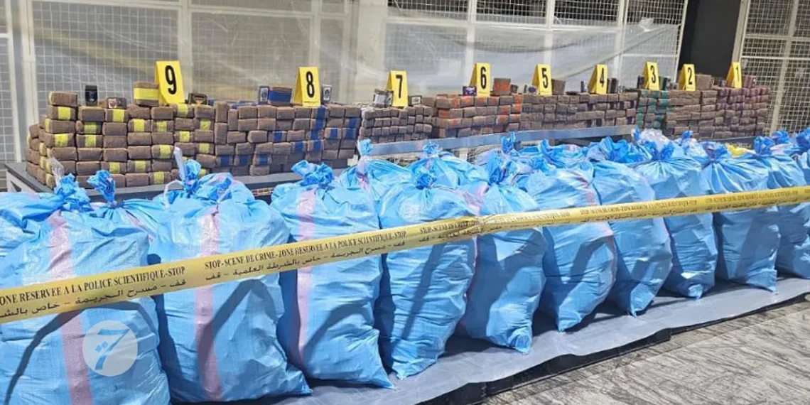 المغرب: إحباط مُحاولة تهريب أكثر من 8 أطنان من المخدرات نحو أوروبا