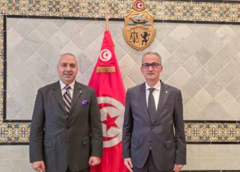 كاتب الدولة لدى وزير الخارجية يستقبل السفير اللبناني الجديد بتونس