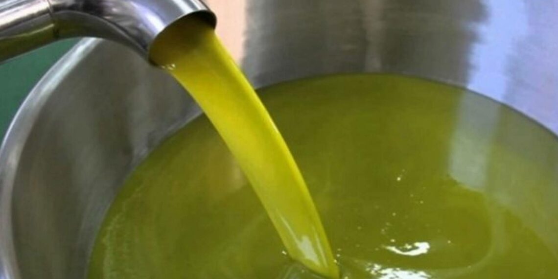 زيت الزيتون: الأسعار في المعاصر بين 11 و14 دينار للتر الواحد