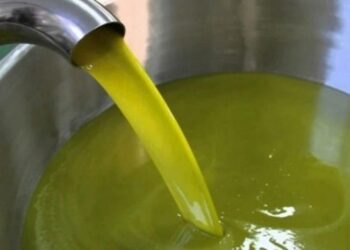 زيت الزيتون: الأسعار في المعاصر بين 11 و14 دينار للتر الواحد