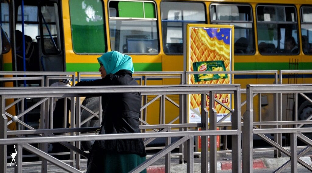 استعدادات وزارة النقل بمناسبة عطلة الشتاء