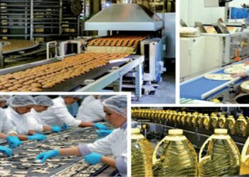 نابل: حجز وإتلاف أكثر من 11 طنا من المنتجات الغذائية وغلق 8 محلات