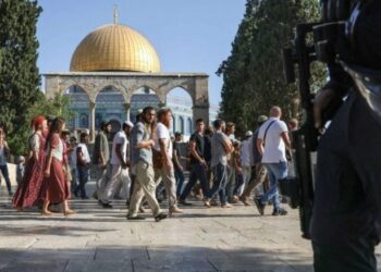 القدس: 917 مستوطنا إسرائيليا يقتحمون المسجد الأقصى