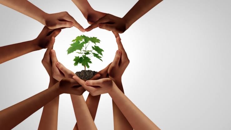 وزارة البيئة تفتح باب الترشحات لمبادرة فنية رياضية مسرحية ذات صلة بالبيئة