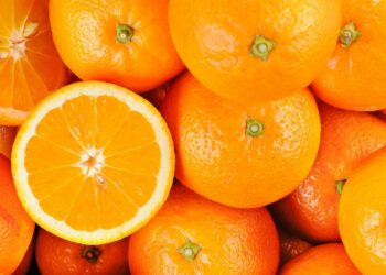 اقتصاد: انطلاق موسم  تصدير برتقال “المالطي” إلى فرنسا