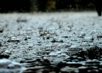 أمطار غزيرة تصل إلى 60 مم في عدة ولايات