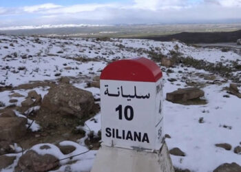 سليانة: تساقط الثلوج بمرتفعات مكثر