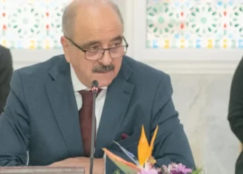 وزير الخارجية يشارك في اجتماع طارئ حول الصومال والعدوان على فلسطين