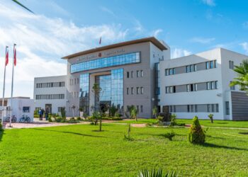 جامعة جندوبة تتحصل على الموافقة لتمويل أربعة مشاريع لباحثين شبان