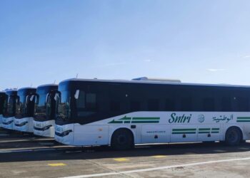 شركة النقل بين المدن تعزز أسطولها بـ10 حافلات جديدة وتحدث خطين جديدين