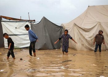 تطهير عرقي (3)