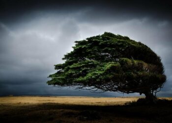 رياح قوية وتقلبات جوية منتظرة والحماية المدنية تحذر