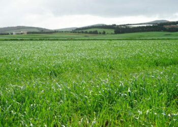 البنك التونسي للتضامن يسند قروض بقيمة 12 مليون دينار لفائدة صغار الفلاحين المتضررين من الأمطار الأخيرة