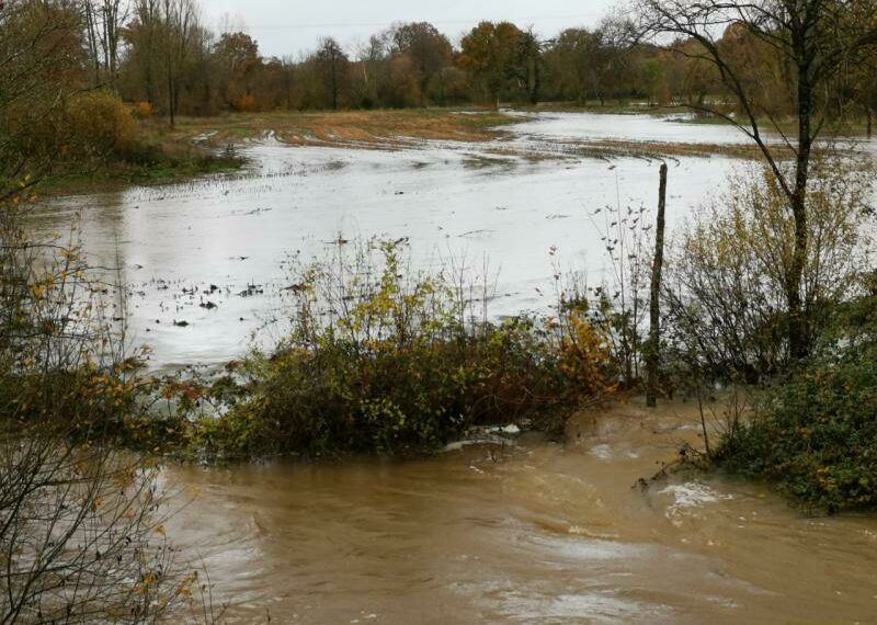 وزير الفلاحة يقرر إبقاء لجنة اليقظة في حالة انعقاد دائم