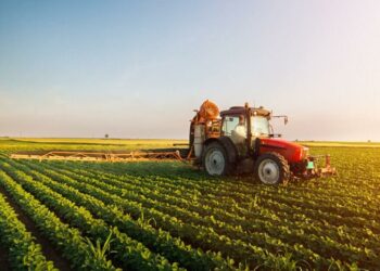 أكثر من 30 ألف فلاح سينتفعون بمقترح قانون تسوية الديون الفلاحية المتعثرة