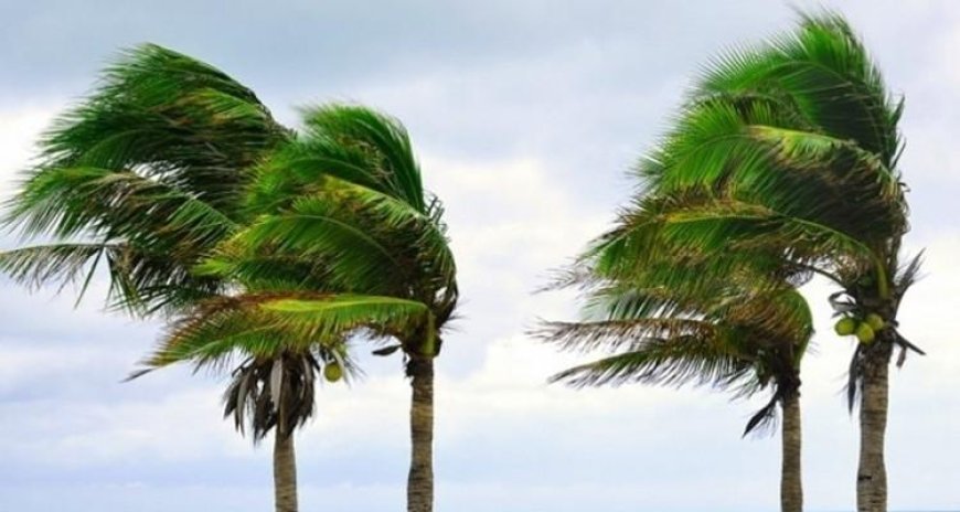 تقلّبات جويّة متوقّعة: الرّصد الجوّي يدعو مستعملي الطّريق إلى الحذر الشّديد