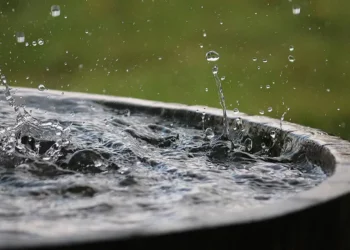 تباحث حول منظومة تصريف مياه الأمطار بتونس