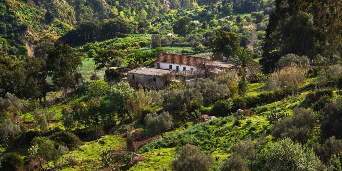 مجلّة الغابات: “الفراغ تشريعي يحرم تونس من التمويلات المناخية الدولية”