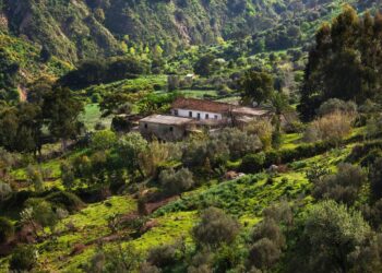 مجلّة الغابات: “الفراغ تشريعي يحرم تونس من التمويلات المناخية الدولية”