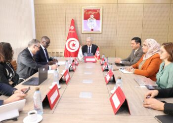 دعم إصلاح المنظومة الصحية في تونس محور جلسة عمل بين وزير الصحة ووفد من البنك الدولي