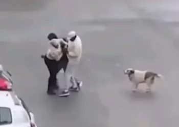 إيقاف ثلاثة أجانب تورطوا في ‘براكاج’ بسكرة