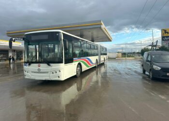 المهدية: فرع شركة النقل بالساحل يتسلم 10 حافلات مزدوجة جديدة
