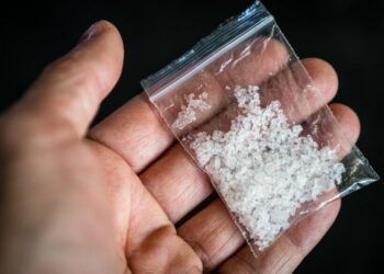 تفكيك شبكة لترويج المخدرات وحجز كميات من مخدر زطلة وكوكايين بأريانة