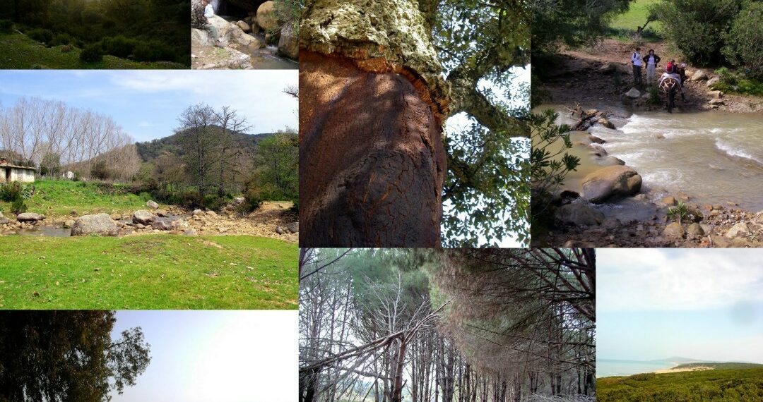 وزير الصحة يؤكد مواصلة العمل على تعبئة الموارد المائية وترشيد استغلالها