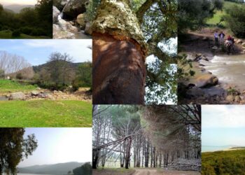 وزير الصحة يؤكد مواصلة العمل على تعبئة الموارد المائية وترشيد استغلالها