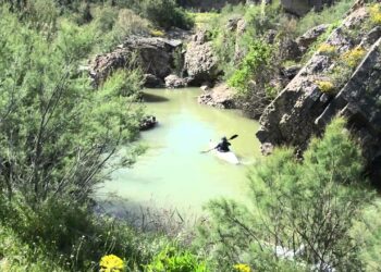 بعد الأمطار: وزارة الفلاحة تدعو المتساكنين بالقرب من وادي مجردة إلى الحذر