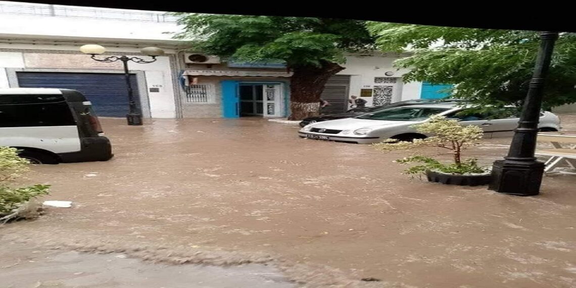 نابل: أمطار جانفي تسببت في نفوق 125 ألف طير دجاج و900 رأس غنم و50 رأس بقر وإتلاف 800 بيت نحل