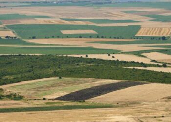 وزارة الفلاحة: منشور يوضّح إجراءات إعفاء وجدولة ديون متسوّغي العقارات الدوليّة الفلاحيّة
