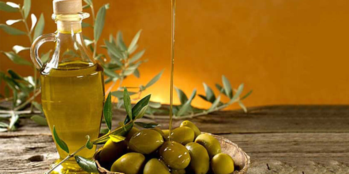 زيت الزّيتون: تونس الأولى في الزيوت البيولوجيّة  وتحوّل نوعي في الفلاحة البيولوجيّة