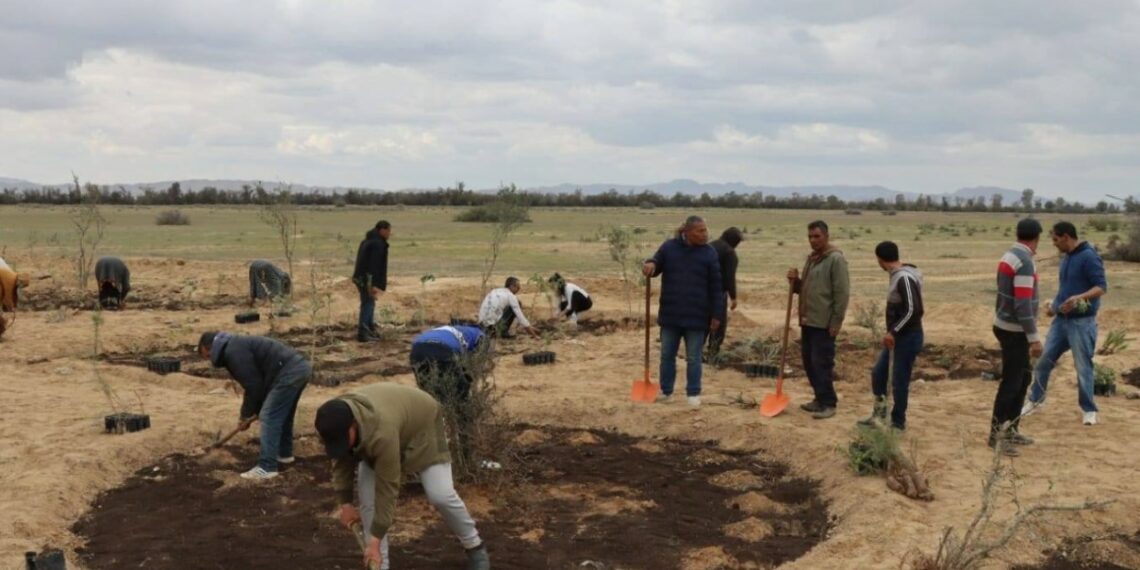 القيروان-منزل المهيري: انطلاق حملة تسجير ب”المدينة الطبيّة الأغالبة”