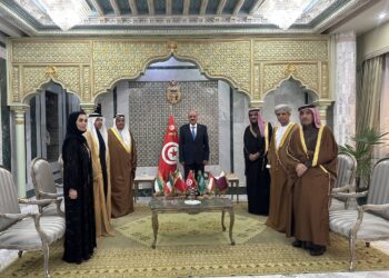 الخارجية: النفطي يستقبل سفراء دول دول الخليج ويجدد رفض تونس لكل اعتداء على دولهم