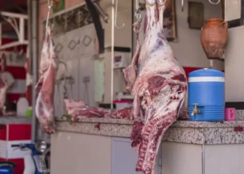 الاحتفاظ برئيس غرفة القصابين