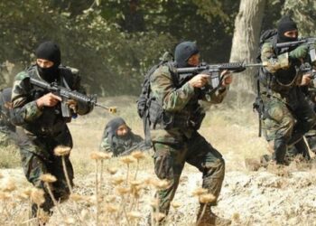 وزارة الداخلية تفكك 62 خلية إرهابية سنة 2025