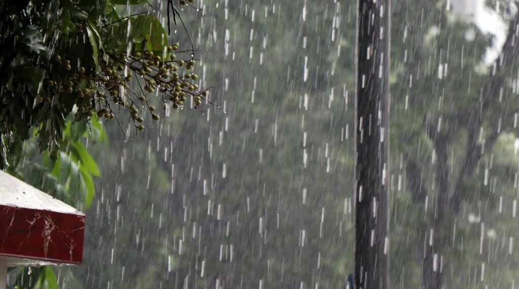 بداية من الغد: أمطار رعدية وانخفاض في الحرارة