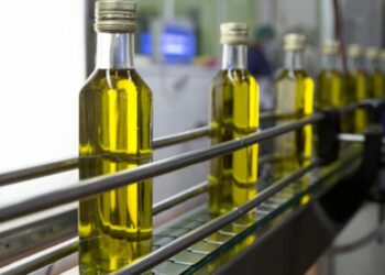 الأردن المستورد الأول: ارتفاع ملحوظ لصادرات زيت الزيتون المعلّب