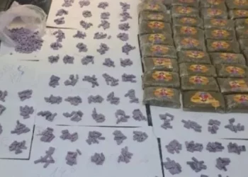 ضبط 36 صفيحة من القنب الهندي و1800 حبة إكستازي بالمكنين