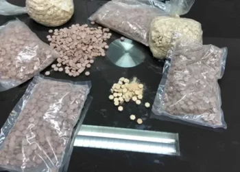30 سنة سجناً لموظف سابق وشركائه في أخطر شبكة لتهريب ‘إكستازي’