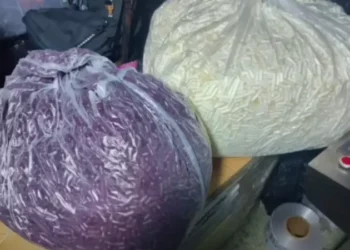 الحرس يفكّك شبكة دولية لترويج المخدرات ويحجز ملايين الأقراص