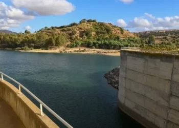 بعد أمطار الأمس: تسجيل 79 مليمترا من الأمطار بسد بربرة