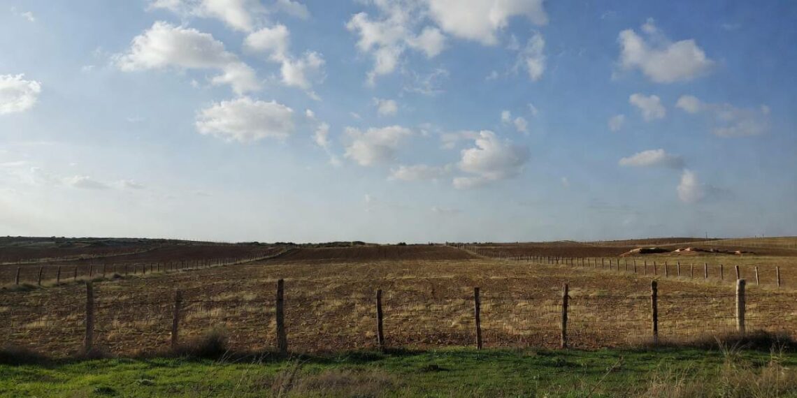 بلدية القصرين تدعو كافة مالكي الأراضي إلى تسييج عقاراتهم