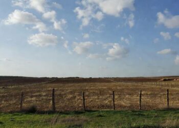 بلدية القصرين تدعو كافة مالكي الأراضي إلى تسييج عقاراتهم