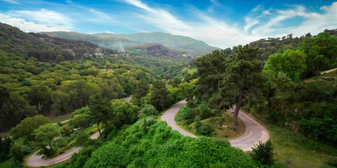 لجنة مجابهة الكوارث تقر تدابير وقائية لحماية المحاصيل والغابات في جندوبة