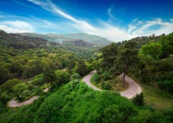 لجنة مجابهة الكوارث تقر تدابير وقائية لحماية المحاصيل والغابات في جندوبة