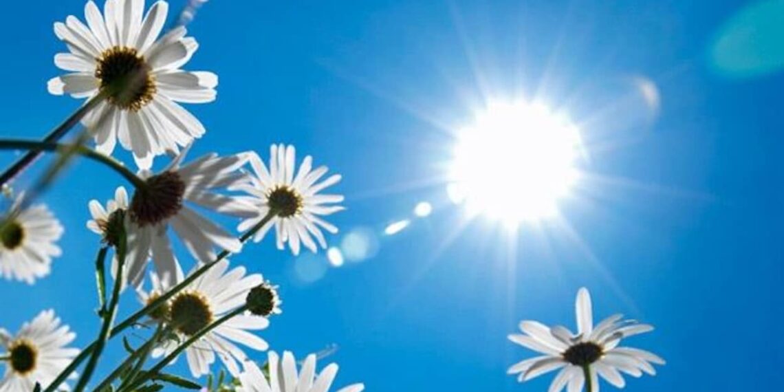 الطقس: تحسّن تديرجي في كامل مناطق البلاد ابتداء من يوم غد